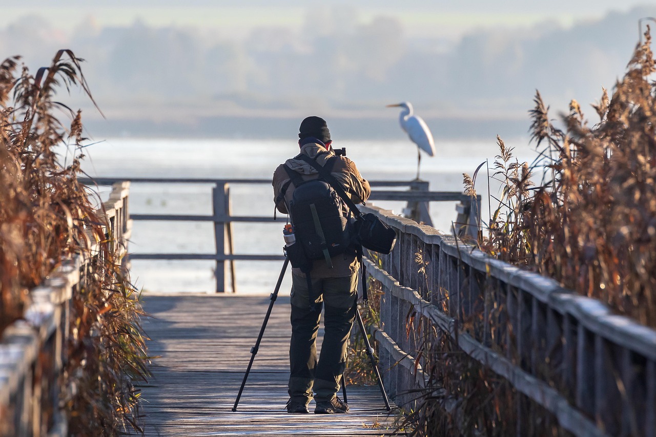 Jesień w kadrze: pasja do fotografii i konkursy, które inspirują